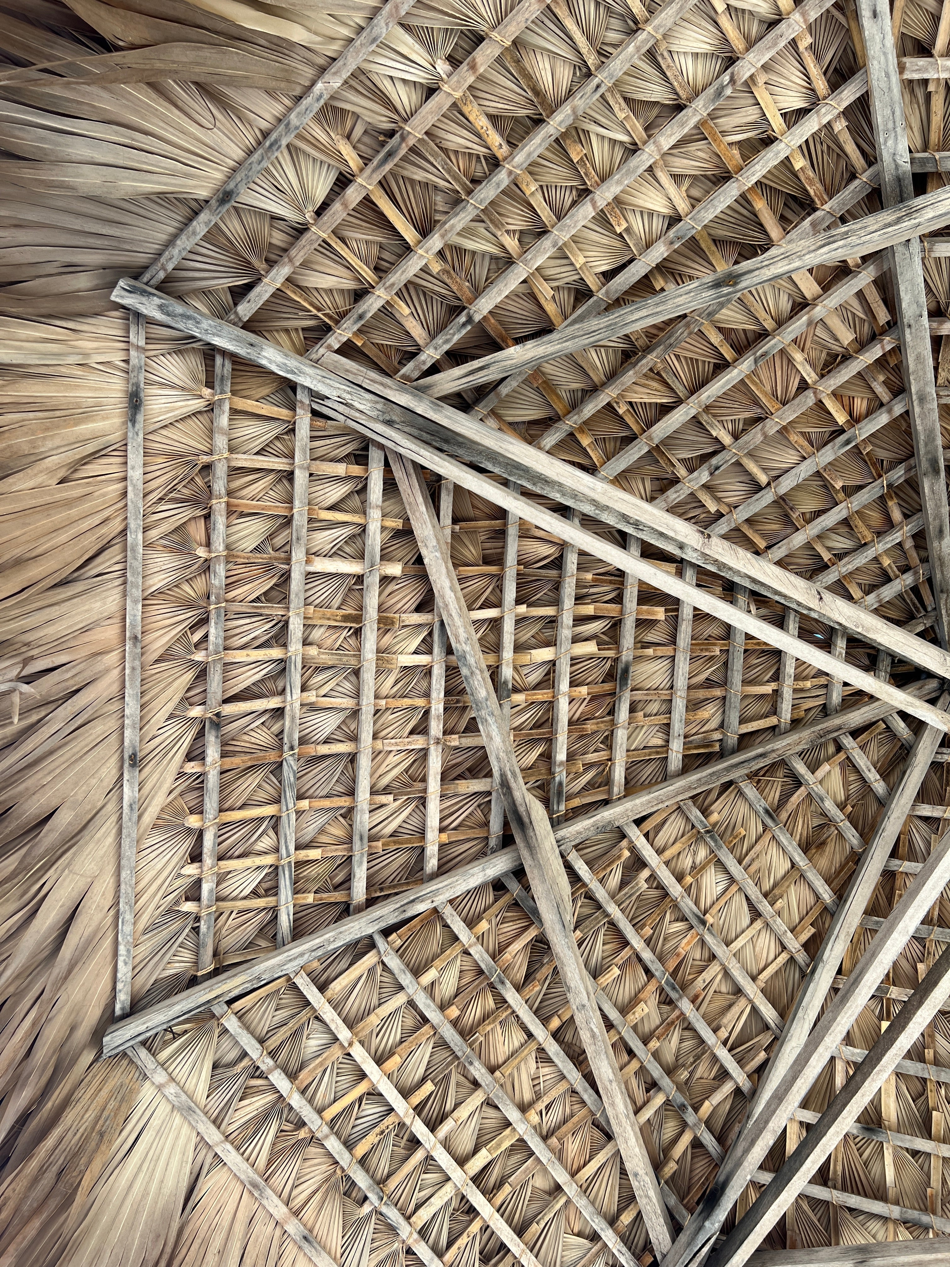 Le satrana : autres plantes, autres possibilités